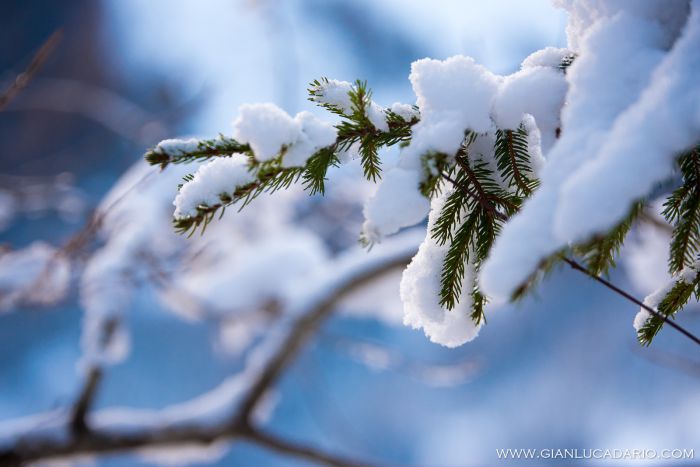 I colori dell'inverno ad Erto - foto 5 - Gianluca Dario Photography
